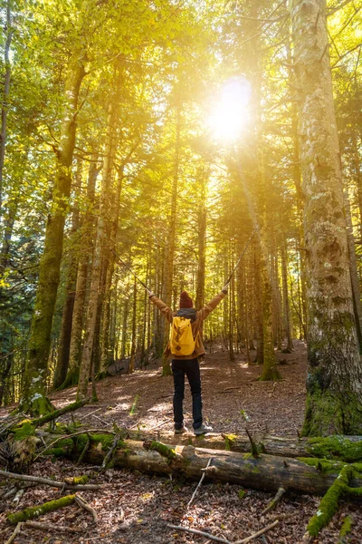 Irati Wald Oder Dschungel Herbst Ein Junger Wanderer Beim Trekking — Stockfoto