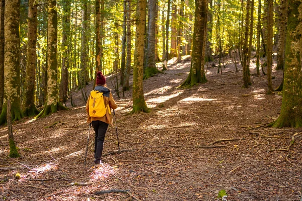 Irati Forest Jungle Autumn Young Hiker Trek Ochagavia Northern Navarra — Stock Photo, Image