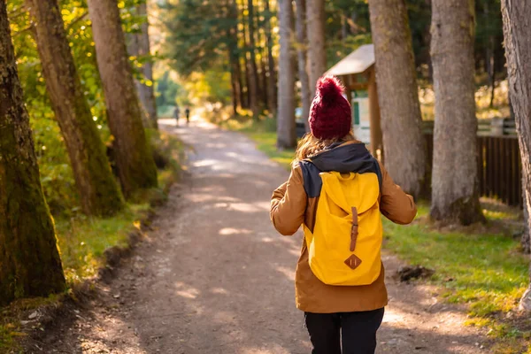 Selva Irati Otoño Estilo Vida Una Joven Camino Del Bosque —  Fotos de Stock