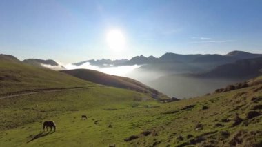 Larrau Dağı 'nın zirvesinde gün doğumu. Irati ormanlarında, Pireneler ve Atlantikler 'de, video 4k