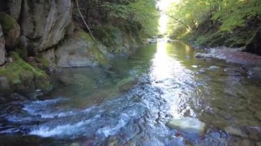 Sonbaharda Irati ormanı ya da orman, Küba şelalesi. Ochagava, İspanya, Navarra 'nın kuzeyi, 4k video