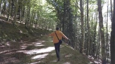 Sonbaharda Irati ormanı ya da ormanı, bir ebeveyn ve çocuğu çam ağaçlarından oluşan bir yolun tadını çıkarıyorlar. Ochagava, İspanya, Navarra 'nın kuzeyi, 4k video