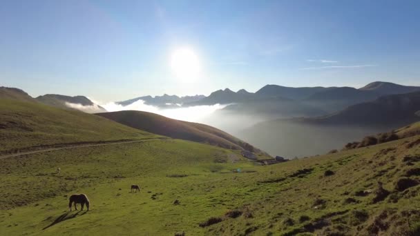 Схід Сонця Вершині Гори Ларру Лісі Або Джунглях Іраті Піренеї — стокове відео