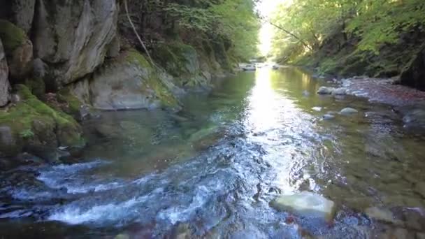 Floresta Irati Selva Outono Cachoeira Cubos Ochagava Norte Navarra Espanha — Vídeo de Stock