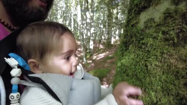 秋天的伊拉蒂森林或丛林中 一位家长和她的孩子在一条松树小径上享受着快乐 Ochagava 西班牙纳瓦拉北部 4K视频 — 图库视频影像