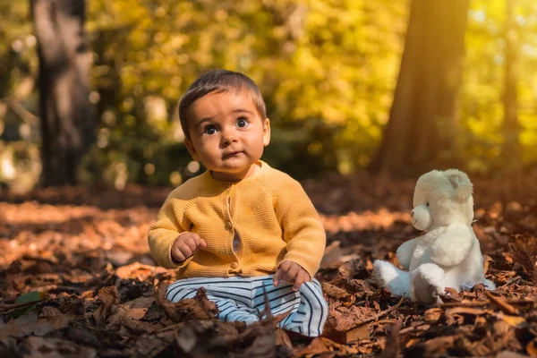 Garçon Assis Dans Les Feuilles Des Arbres Avec Ours Peluche — Photo