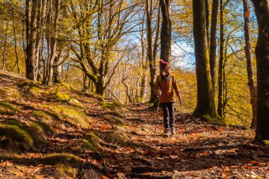 Sonbaharda San Sebastian, Gipuzkoa 'nın yanındaki Oiartzun' daki Artikutza doğal parkını ziyaret eden genç bir yürüyüşçü. Bask Ülkesi