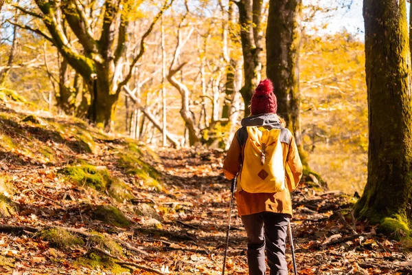 Молодой Турист Посещает Природный Парк Артикуца Осенью Оярцуне Рядом Сан — стоковое фото