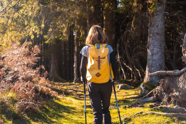 San Sebastian, Gipuzkoa yakınlarındaki Artikutza doğal parkında yürüyüş yapan genç bir yürüyüşçü. Bask Ülkesi