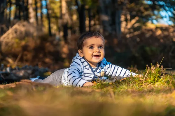 Bébé Amuse Dans Parc Naturel Artikutza Par Après Midi Automne — Photo