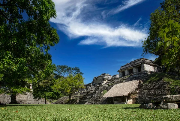 Prachtige Piramide Die Kunt Zien Tempels Van Palenque Yucatan Mexico — Stockfoto