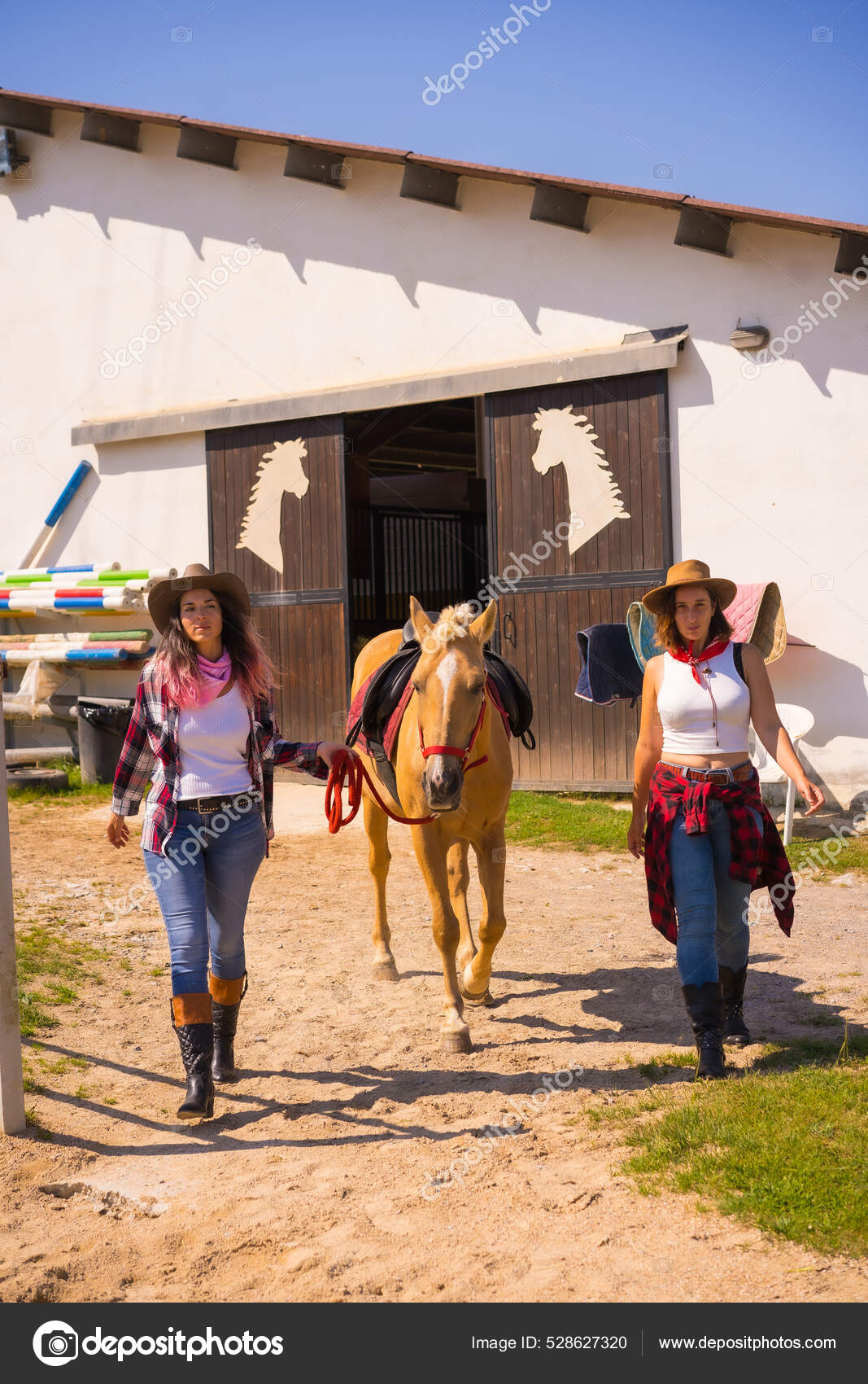 Retrato de camisa xadrez de menina com cavalo preto na fazenda de cavalos.