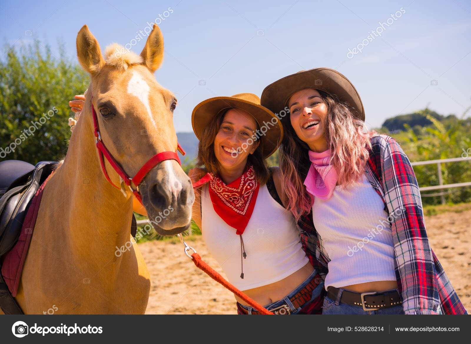 Retrato de camisa xadrez de menina com cavalo preto na fazenda de cavalos.