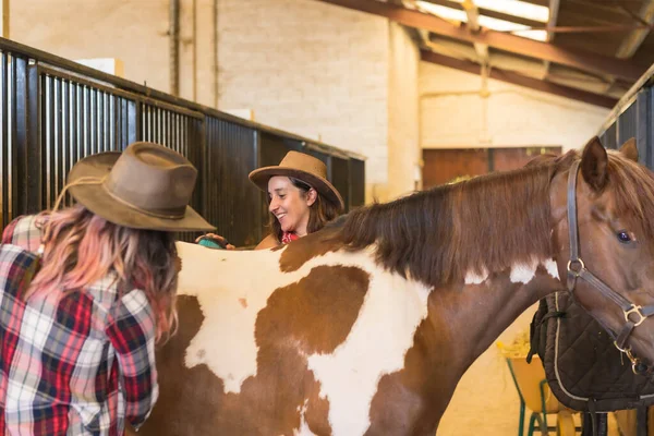 Two Smiling Cowboy Women Working Out Brushing Horse Stable Southern — Stock Photo, Image