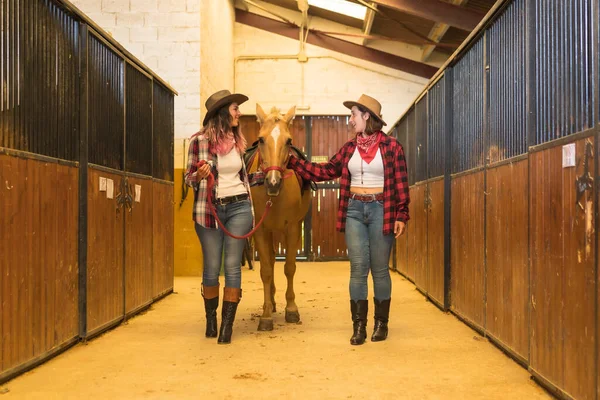 安定した アメリカのカウボーイハットで馬と楽しさと笑いを持っている2人のカウガールの女性は シャツとジーンズを果たした — ストック写真