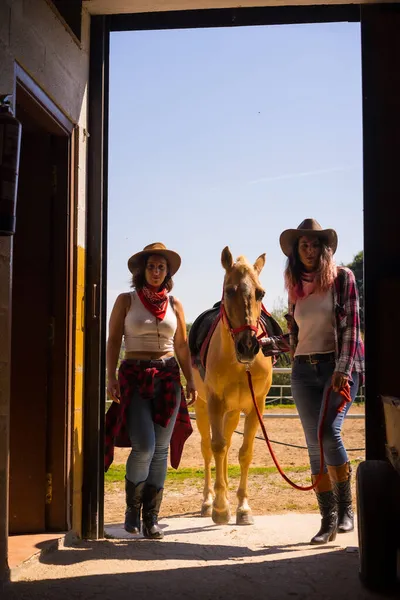 Twee Cowgirl Vrouwen Betreden Stal Met Een Paard Een Paard — Stockfoto