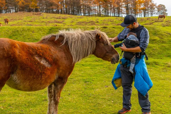 Een Vader Zijn Baby Strelen Een Wild Paard Berg Erlaitz — Stockfoto