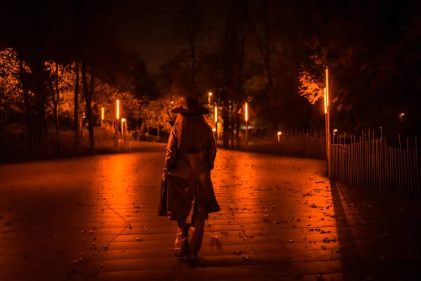 Chica Con Sombrero Caminando Tranquilamente Por Parque Una Noche Invierno — Foto de Stock