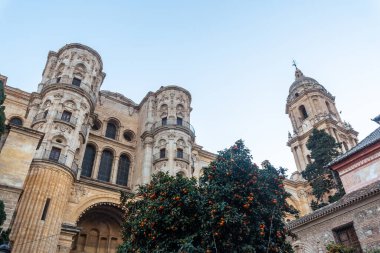 View of the Cathedral of the Incarnation in the city of Malaga, Andalusia. Spain