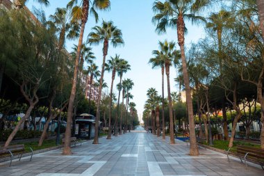 Rambla de Almeria, Endülüs 'ün Belen sokağındaki palmiye ağaçları. İspanya. Costa del Sol Akdeniz 'de