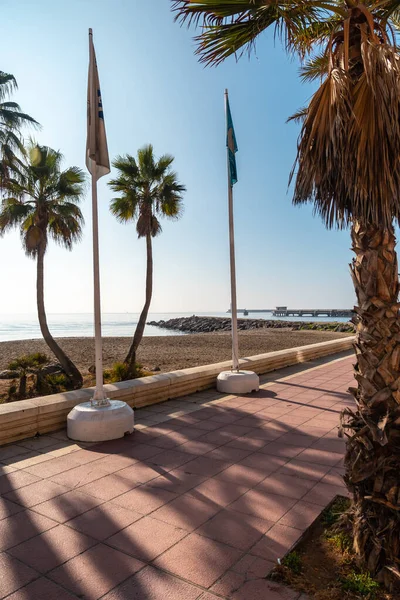 Palmiers Sur Playa San Miguel Dans Ville Almeria Andalousie Espagne — Photo