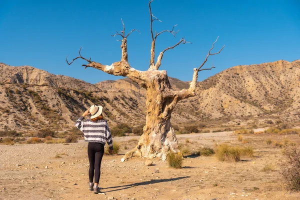 Ung Vandrer Pige Med Hat Besøger Træet Ulykke Ørkenen Tabernas - Stock-foto
