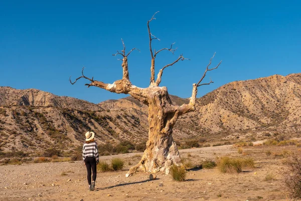 Egy Fiatal Túrázó Lány Sapkában Meglátogatja Szerencsétlenség Fáját Sivatagban Almeria — Stock Fotó
