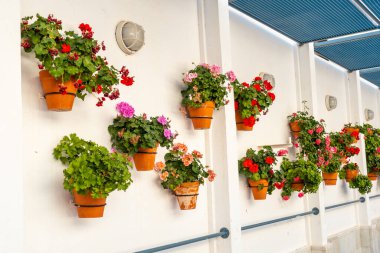 Mojcar Halk Çeşmesi (Fuente Mora), Mojacar 'da dağın tepesindeki beyaz evler kasabasında. Akdeniz 'deki Costa Blanca, Almerya. İspanya