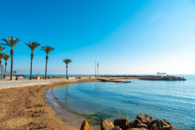 Playa del Cura, Alicante, Valensiyalı cemaatinin yanındaki Torrevieja kıyı kasabasında palmiye ağaçları olan plaj. İspanya, Costa Blanca 'da Akdeniz