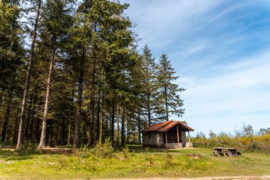Andatza Dağı 'nın tepesindeki Usurbil, Gipuzkoa kasabasındaki ormanda. Bask Ülkesi