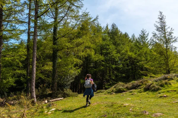 Ung Kvinde Går Skoven Toppen Mount Andatza Byen Usurbil Gipuzkoa - Stock-foto