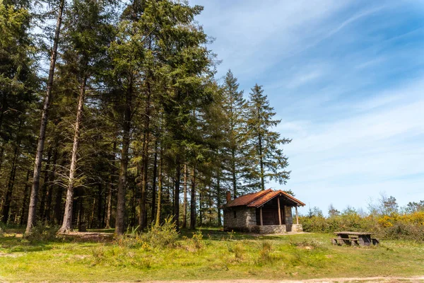 Andatza Dağı 'nın tepesindeki Usurbil, Gipuzkoa kasabasındaki ormanda. Bask Ülkesi