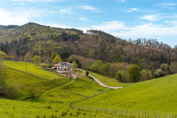 Andatza Dağı 'nın tepesindeki geleneksel Bask çiftlik evi Usurbil, Gipuzkoa' da doğal bir yerde. Bask Ülkesi