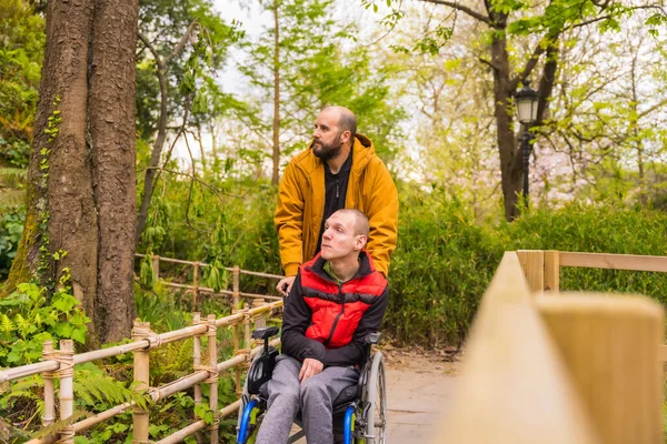 공원의 친구가 휠체어를 장애인 청년을 있습니다 — 스톡 사진