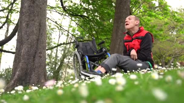 一个瘫痪的年轻人坐在轮椅旁边的草地上 开着一朵雏菊 笑着欣赏大自然的画像 — 图库视频影像