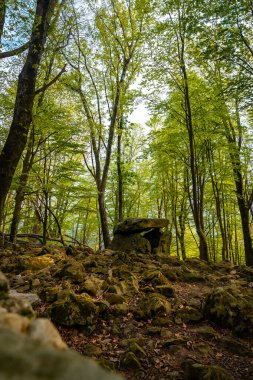Aitzetako Txabala Dolmen Bask ülkesinde. Errenteria, Gipuzkoa. dikey resim