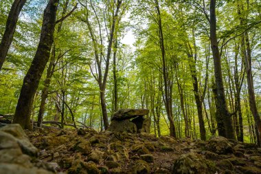 Aitzetako Txabala Dolmen. Baharda Bask Ülkesi 'nde. Errenteria, Gipuzkoa