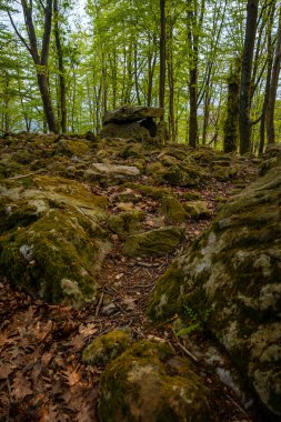 Aitzetako Txabala Dolmen. Baharda Bask Ülkesi 'nde. Errenteria, Gipuzkoa
