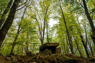 Güzel Dolmen Aitzetako Txabala ilkbaharda Bask Ülkesi 'nde. Errenteria, Gipuzkoa
