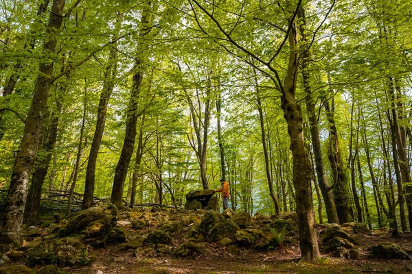 Aitzetako Txabala Dolmen Sob Algumas Árvores País Basco Errenteria Gipuzkoa — Fotografia de Stock