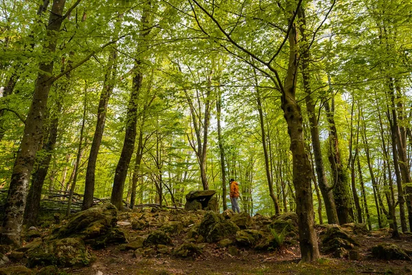 Aitzetako Txabala Dolmen Sob Algumas Árvores País Basco Errenteria Gipuzkoa — Fotografia de Stock