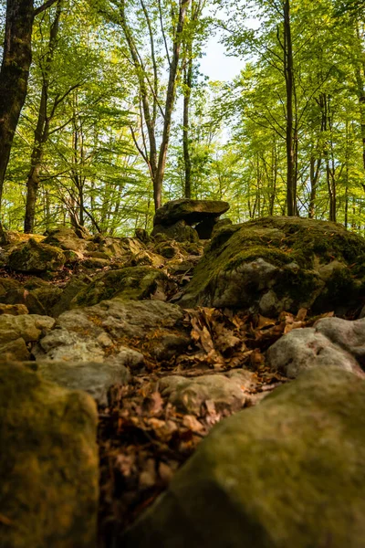 Aitzetako Txabala Dolmen Bask ülkesinde. Errenteria, Gipuzkoa. dikey resim