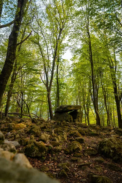 Aitzetako Txabala Dolmen Bask ülkesinde. Errenteria, Gipuzkoa. dikey resim