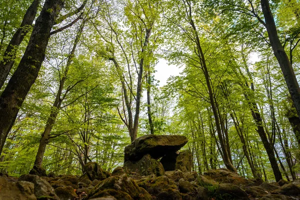Güzel Dolmen Aitzetako Txabala ilkbaharda Bask Ülkesi 'nde. Errenteria, Gipuzkoa
