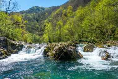 Tornin ile Olla de San Vicente arasındaki Sella nehri, Cangas de Onis yakınlarında. Asturyalar. İspanya