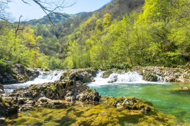 Tornin ile Olla de San Vicente arasındaki Sella nehri, Cangas de Onis yakınlarında. Asturyalar. İspanya