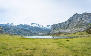 Baharda Lagos de Covadonga 'da sarı çiçeklerle Ercina Gölü. Asturyalar. İspanya