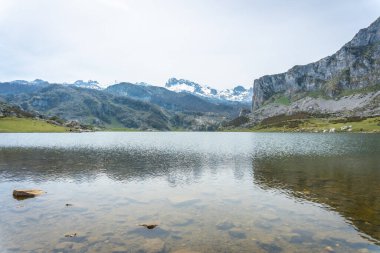 Covadonga Gölü 'ndeki Ercina Gölü' nün detayları. Asturyalar. İspanya