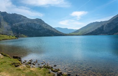 Covadonga Gölü 'ndeki güzel Enol Gölü. Asturyalar. İspanya