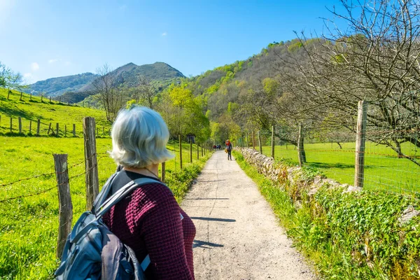Elderly Woman Trekking Trail Tornin Olla San Vicente Cangas Onis — Foto de Stock